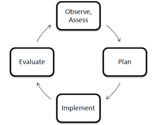 Health observation and assessment cycle diagram
